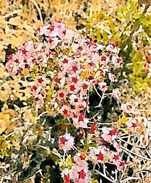 Item #23586274718377853504826207668531862457816485670593798671801516802247623704577 Media