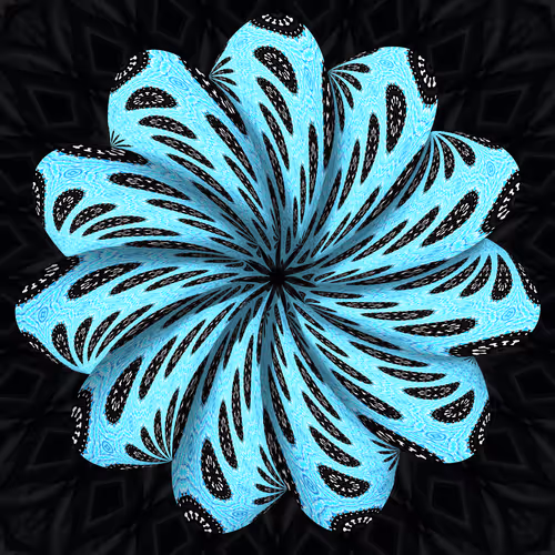 Item #19755943560703832549694930259889174281342606690861395808005518082778874249217 Media