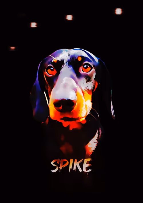 Item #7965142106436300429337650798890466820643677121595248571291411542064328867845 Media