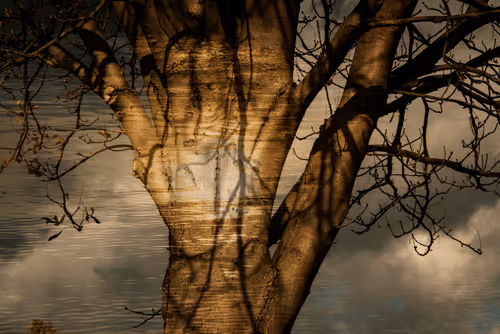 Item #1448819722811812157553440872911488319417736624981688873626406723209998106625 Media