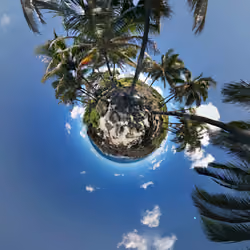 Tiny Hawaii
