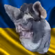 53180631642456764738139299674940583640479914081960747744151190102726703841281