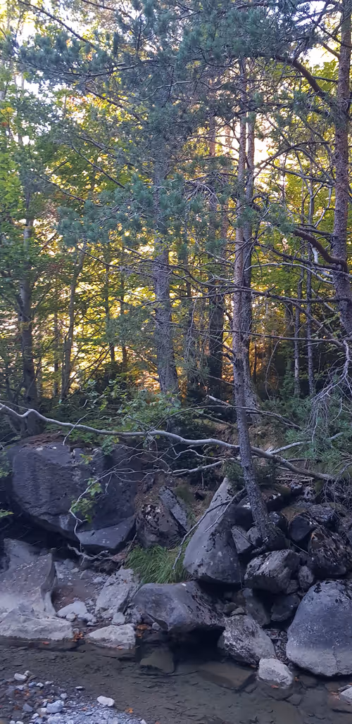 Item #105430292168461067605163639279760676416290262506760367786927535414979401351169 Media