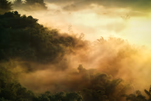 Item #94729080485503513708329965317332491879903775520225674536844109459922559696897 Media