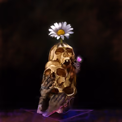 Life after death