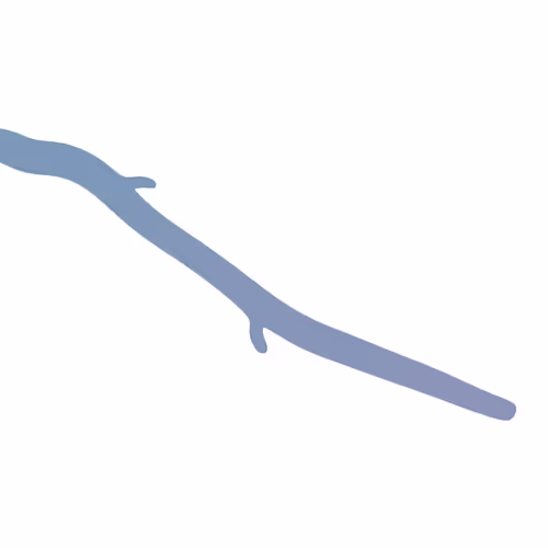 17755440104982517953853418754656261360363945618725315047813017606646747103233