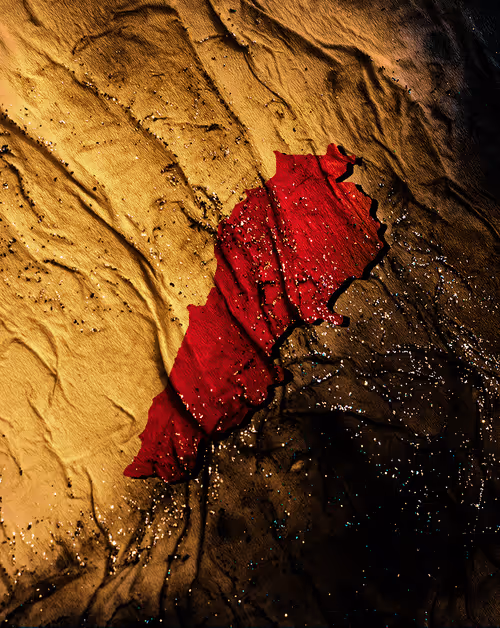 Item #81456042624357434202328939873654772461985486531984512622601373530679855284234 Media