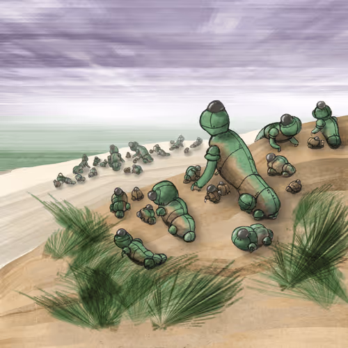 Everything Amplified