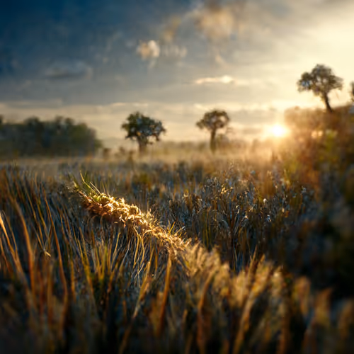 Item #22406925699336405094157924791817172844511801564121536845561311011761408704522 Media