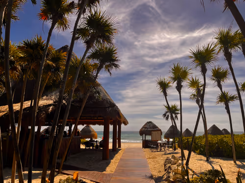 Item #33261409280827848890636833313665954217119010705453802455397167647002799898628 Media