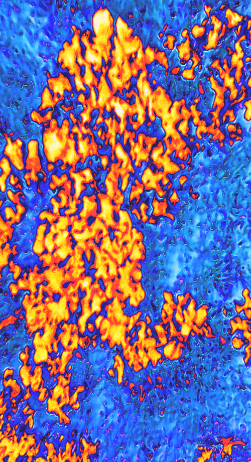 Item #44176308505715352231599045230088323769318740809540344974233715414084018503681 Media