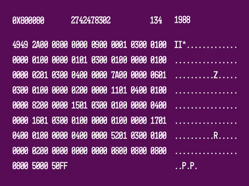 Item #59031477086911379139708913398749070042465215382406328271030672912575153307649 Media