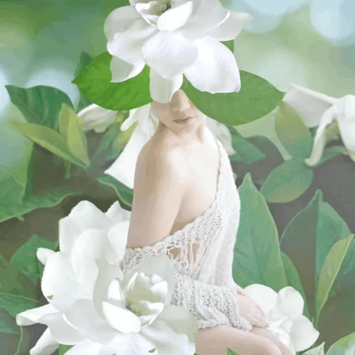 Item #56237005650679827208422272941338028549111287741661461515168449852177704288257 Media