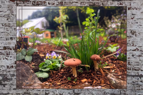 Item #20568184970538251390172672421791262085830619472527085782365060440911110995969 Media