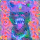29226197204897470459551897583293903798915514615625883342092885478220199100417