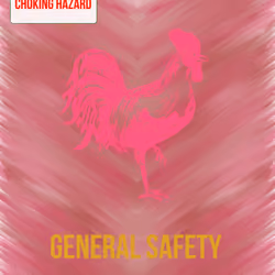 choking hazard 