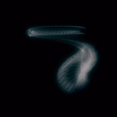 Item #87495691051819618160782043165871758120745529937108859909899537170633385312257 Media