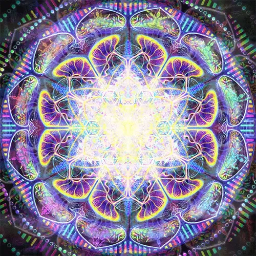 Item #5796846086487840195889712626531621481725560735453572244414020533272673517569 Media