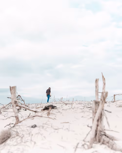 Item #3461261320663593426900354360876375017663922749216533272399435662019260317697 Media