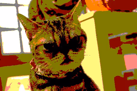 Item #23538819986925566434507765811444276093104658907602947149672917420773254103041 Media