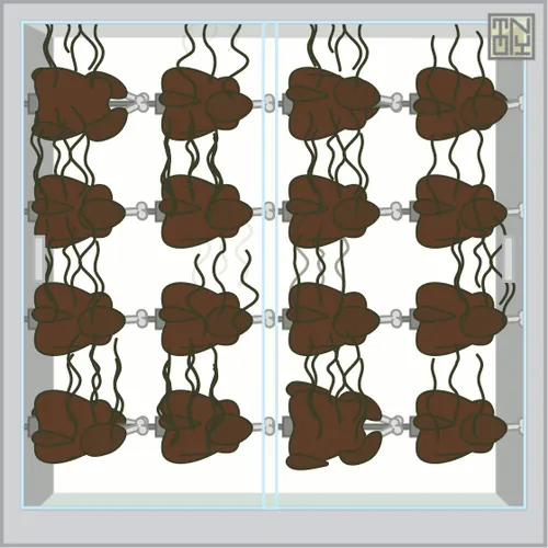 Item #51480660118474459165628670931672533604106415470352758297630818170866952568833 Media