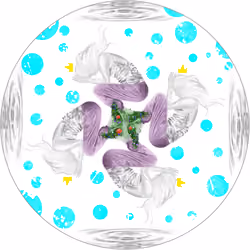 Ripples of Sound