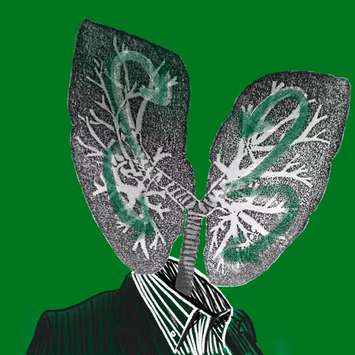 Item #3267549307417083943976989321431076391465549257936998763289630211698312871937 Media