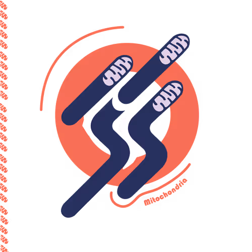 Item #28217420329942861487200254143315689988869562790284857015817128402994671386625 Media