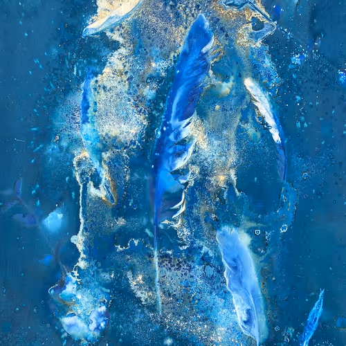 BlueCyanGirl Collection