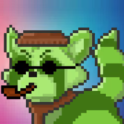 Raccoon #115