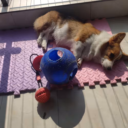 Untitled Collection #36008820