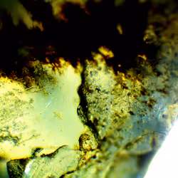 71646257518770613568983710813551014237803002136866425209291834578248912601089