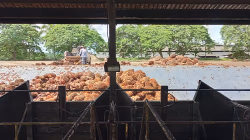 Item #9501492011993552100200174036132824050711189448859184710492527127893244903425 Media