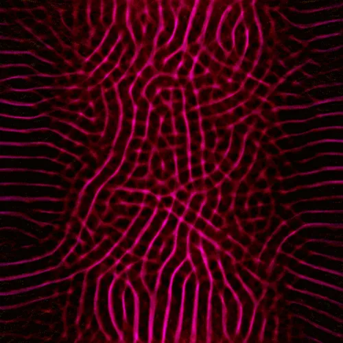 Item #51929734946411346289540790635765095060363125039145709683616697091386519846913 Media