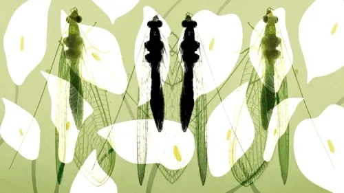 Item #48633838048998583663320801872641342627589424413345964441345781850996415135745 Media