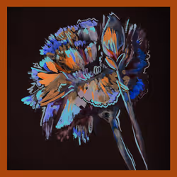 5779281467826994107992422148601232503379904017104496064971971523973172166657