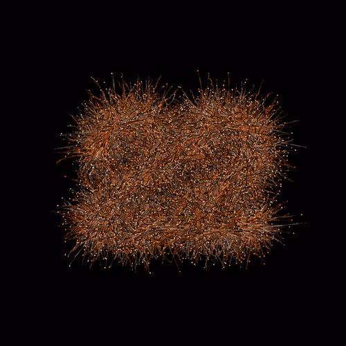 Item #31186271462743839332083495437684930572283654238385709344730710890437893160961 Media