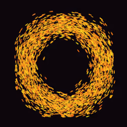 Color Ring #3