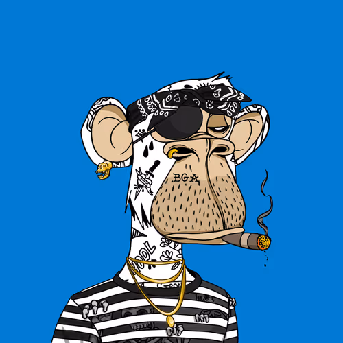 paidinbitcoin.eth Ethereum Name Service (ENS and .eth domain) PFP