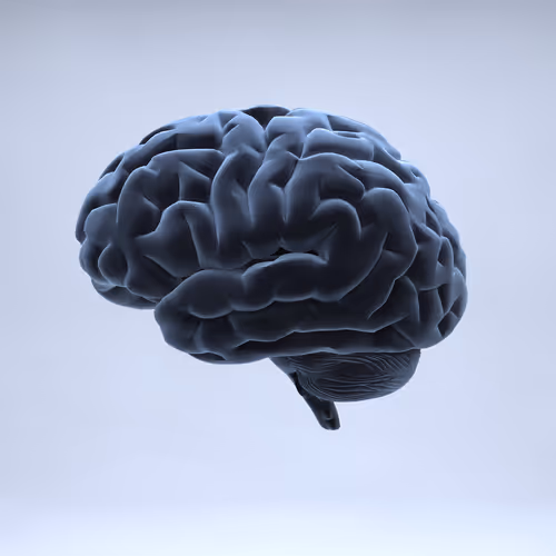 Brain #38 - Blue Clay