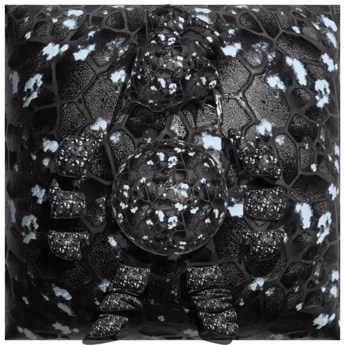 Item #45539596490288351960085431985510159546029184109250154353941012675853226606593 Media