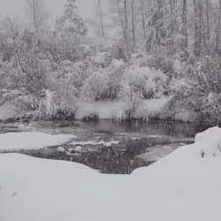 Solitude Near a Snowy Stream