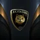 NFT | AKITA INU | WHEN LAMBO ?