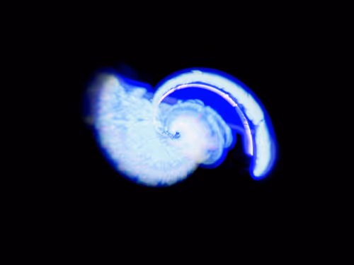 Item #45731211464929816441170859700976373292149702980452148839612469040268051480577 Media