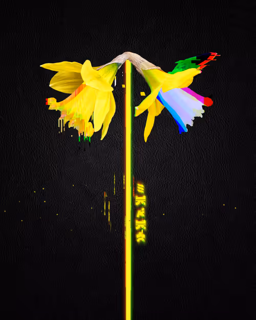 Item #39579845202103003613433969065529984939294887442875588777262424397876362739713 Media