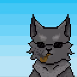 Cool cat
