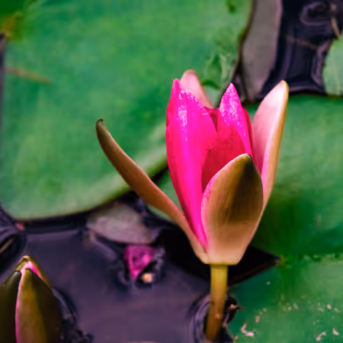 103686277115178527412315898511256896200639863012682764514094226626595073818625