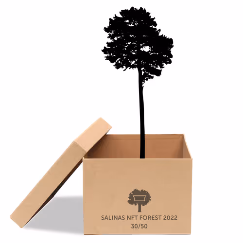 Item #63532776318757439562276927313719991273687356279339277108967620977223373160449 Media