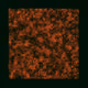 12032733712256437664215437925069129638151898554142308319368358864163077881857