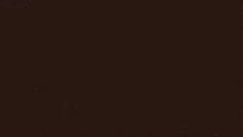 Item #63286489316362837262934672048351814730513494244334173611075142459796561592321 Media